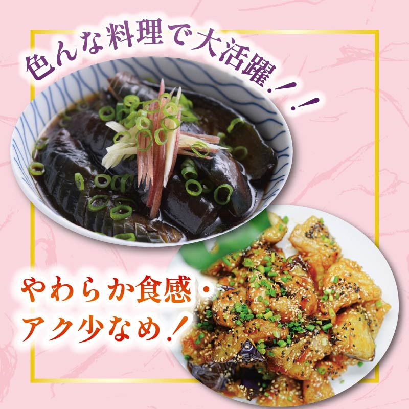 【2月より発送】安田町産 「超」 訳あり ナス なす 2kg 新鮮 野菜 茄子 産地直送 季節限定 夏野菜 ふるさと納税茄子  ふるさと納税なす 高知 安田町 TR-0003