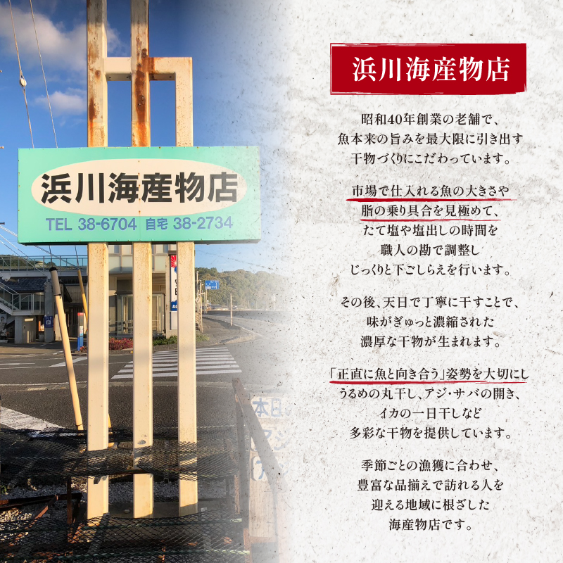 【 訳あり だけど逸品！】安田町 プロ厳選！ 訳あり 干物 セット 極上 国産 干物  3～6種 1000g  極上 詰め合わせ タイ イカ サバ アジ イワシ カツオ ウルメ 無添加 冷蔵 高級 海産物店直送 セット 美味しい 本場 高知 水産事業者支援 ひもの 干物セット コスパ ランキング 人気 高知 安田町 HM-0002