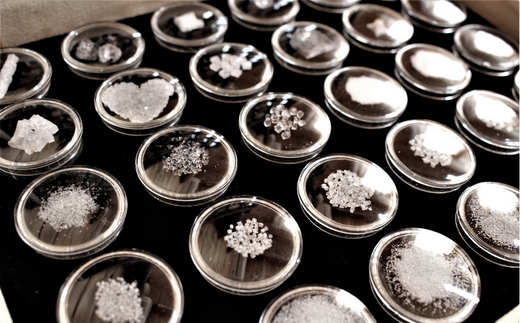 田野屋紫蘭の完全天日塩 清流安田川が育む土佐の海と太陽で育てた｢万能｣小粒100g×3個 田野屋紫蘭 塩 完全 天日塩 セット 万能 小粒 100g 3袋 しお 荒塩 あら塩 天然 料理 調味料 食塩 高知県 安田町 TN-03