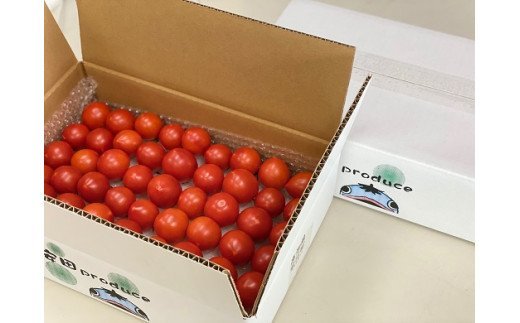 ◆愛情たっぷり新鮮トマト３kg