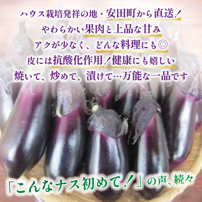 安田町の野菜 ナス トマト 少量セット 野菜 お試し セット 詰め合わせ ナス 5本トマト 150g x 2 300g 旬の野菜 季節野菜 やさい 国産 人気 季節 旬 新鮮 定番 高知県 安田町 TR-15