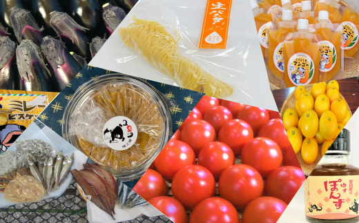 もっと！ おいしいものセット 野菜 果物 パスタ 海産品 調味料 詰め合わせ セット 1万円 10000円 生パスタ 干物 お菓子 スイーツ 海産物 加工品 ポン酢 味噌 高知県 安田町 TR-07