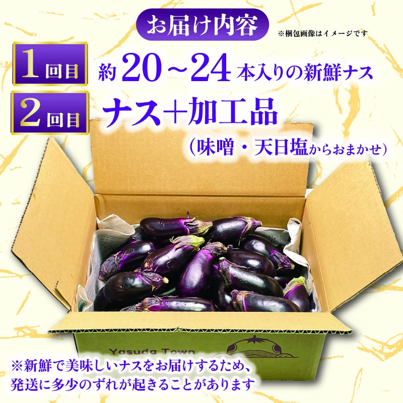 å®ç°çºç£æ°é®®ãã¹20ã24æ¬ã®å®æäŸ¿ 2åçºé 2ãæ 2å å®æäŸ¿ ãã¹ 20æ¬ä»¥äž éè èå ç£å°çŽé æ©æäºçŽ å£ç¯éå® å€éè ãµãããšçŽçšèå ãµãããšçŽçšãªã é«ç¥ å®ç°çº TR-2000