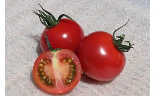 å®ç°çºç£ å®å
šå€©æ¥å¡© æ°é®®ãšããã ã»ãã å
è¡åä» å®ç ããã ãš å®å
šå€©æ¥å¡© ã»ãã ç£å°çŽé æ°é®® ããã㊠塩è·äºº æäœã éè ãšãŸãš æµ·æ°Ž å¡© ç°éå± çŽ«è é«ç¥ å®ç°çº TR-19