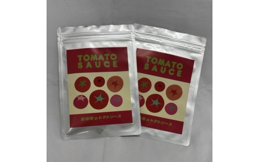 安田町 トマトソース 2袋 詰め合わせ トマトソース トマト ソース 2袋 詰合せ セット 詰め合わせ 野菜 冷凍 スープ パスタ ミートソース スパゲティ ハンバーグ 簡単 便利 時短 お手軽 濃厚 新鮮 高知県 安田町 TR-24
