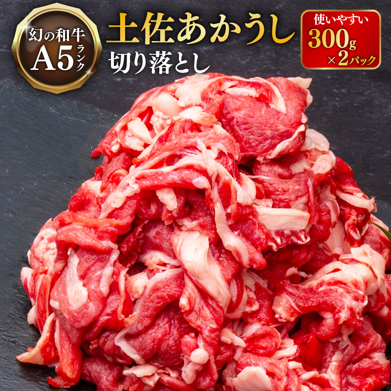 ｢土佐あかうし｣切り落とし600g 300×2パック 牛肉 和牛 切り落とし 600g 土佐あかうし 土佐 あかうし ブランド牛 国産 国産牛 ローストビーフ すきやき（すき焼き）しゃぶしゃぶ 鍋 人気 お取り寄せ 冷凍 BBQ バーベキュー 焼肉 焼き肉 贈答 高知 安田町 MT-01