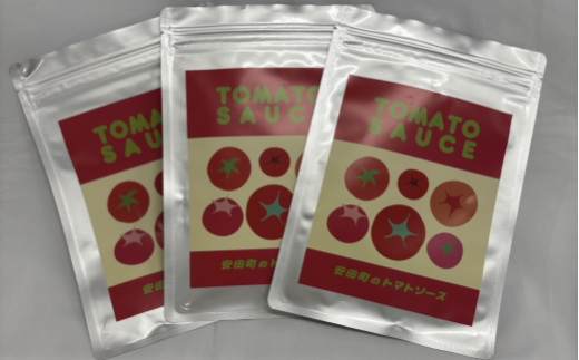 安田町 トマトソース 3袋 詰め合わせ トマトソース 天日塩 使用 170g x 3袋 パスタ ソース 野菜 や 肉 魚介 とスープ に レトルト食品 レトルトスープ レトルト トマトピューレ 調味料 濃厚 高知県 安田町  TR-25
