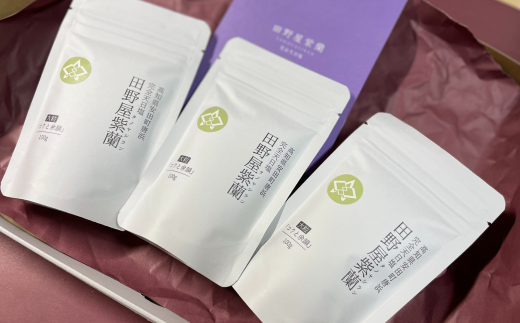 田野屋紫蘭の完全天日塩 清流安田川が育む土佐の海と太陽で育てた｢コクと余韻｣大粒100g×3個 田野屋紫蘭 塩 完全 天日塩 セット コクと余韻 大粒 100g 3袋 しお 荒塩 あら塩 食塩 詰め替え ミネラル 土佐 高知県 安田町 TN-02