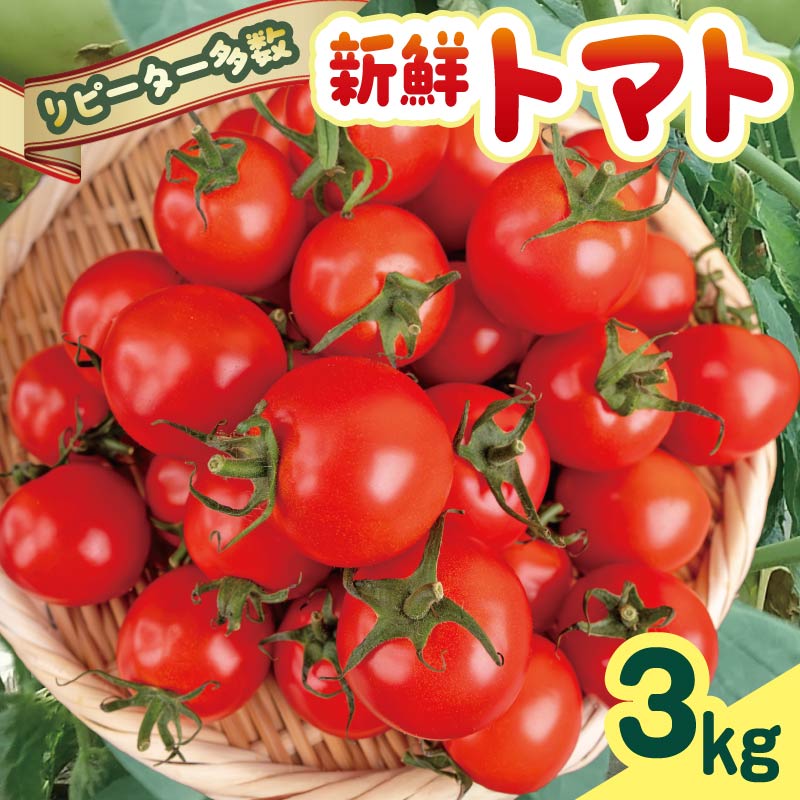 安田町産 愛情たっぷり新鮮トマト3kg 新鮮 トマト 数量限定 詰め合わせ セット 甘い 旬 野菜 3kg 3キロ 採れたて くだもの 夏野菜  ギフト ふるさと納税 高知県 安田町  TR-04