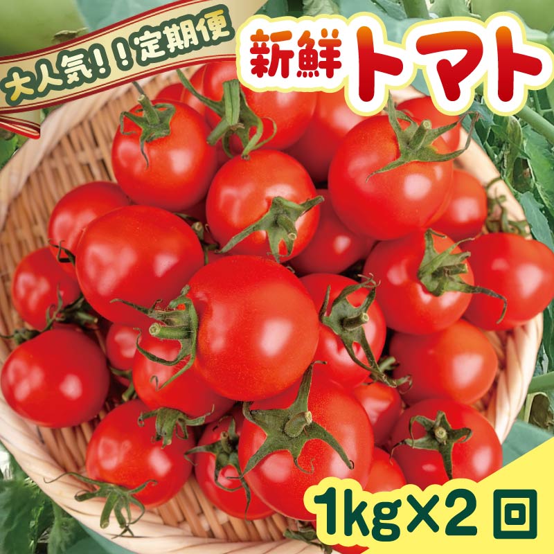 【先行受付】安田町産新鮮トマト 1kg 定期便 2回発送 早期予約 2ヶ月 定期便 トマト 1kg 新鮮 野菜 旬 とまと 夏野菜 期間限定 季節限定 先行予約 ふるさと納税 人気 高知 安田町 TR-05