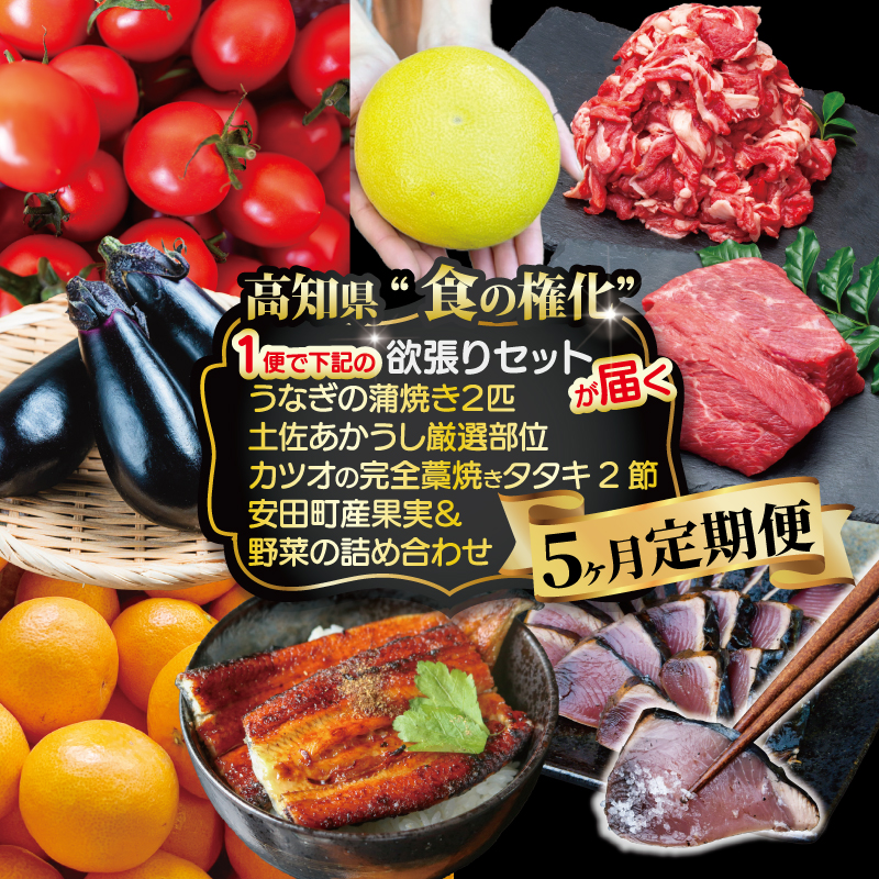 【まぎれもない”食”の権化】土佐あかうし うなぎのかば焼き かつおのタタキ 欲張りセット 定期便 5ヶ月定期便 牛肉 うなぎ かつお タタキ 野菜 セット 詰め合わせ 土佐 あかうし 和牛 厳選 国産 鰻 蒲焼き 藁焼き 鰹 たたき 詰め合わせセット グルメ ローストビーフ すきやき（すき焼き）しゃぶしゃぶ 鍋 クリスマス 年末年始 人気 プレゼント 高知 安田町 MTK-01