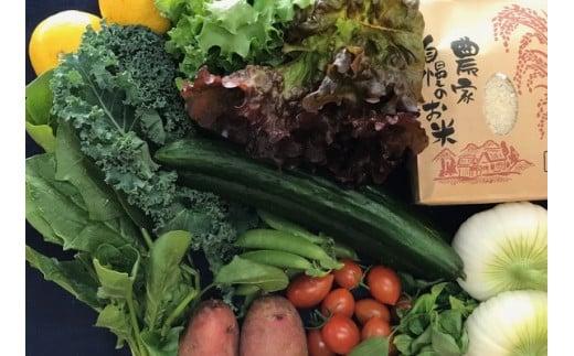 お米2合 野菜8〜10品目セット 米 2合 野菜 8〜10品 セット 詰め合わせ  お米 300g  白米 ヒノヒカリ 採れたて 家計応援 果物 やさい フルーツ 使い切り トマト なす  ブランド米 精米   高知県 安田町 MR-01