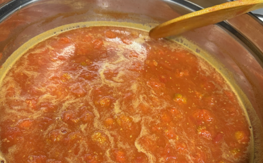 安田町 トマトソース 3袋 詰め合わせ トマトソース 天日塩 使用 170g x 3袋 パスタ ソース 野菜 や 肉 魚介 とスープ に レトルト食品 レトルトスープ レトルト トマトピューレ 調味料 濃厚 高知県 安田町  TR-25