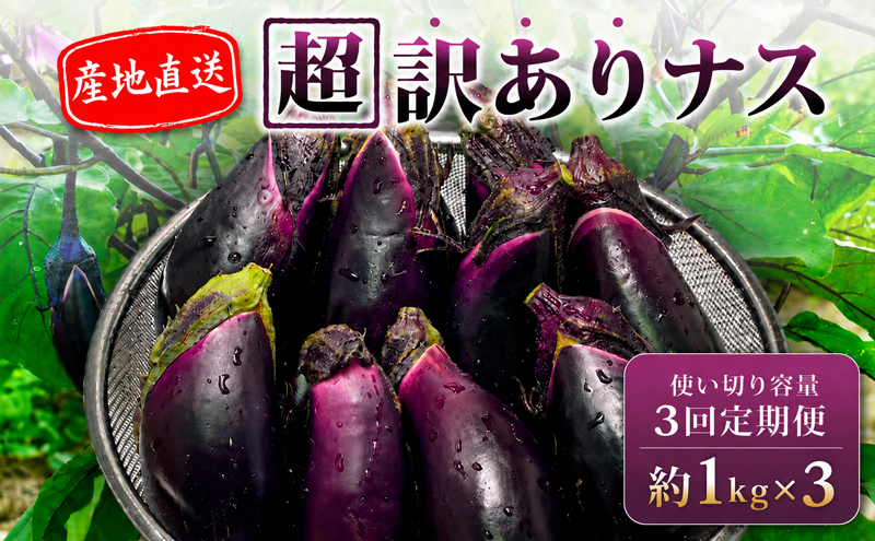 【先行受付】 【3回定期】 安田町産 「超」 訳あり ナス なす なすび 1kg×3回 定期便 新鮮 野菜 茄子 産地直送 季節限定 夏野菜 ふるさと納税茄子 ふるさと納税なすお漬物 漬物 味噌汁 みそ汁 マーボーナス 麻婆ナス 麻婆茄子 煮びたし 天ぷら フライ はさみ揚げ 煮浸し 焼なす やきなす 焼きナス わけあり 傷 きず 不揃い B級品 伏流水 高知 安田町 安田川 清流 YM-1100