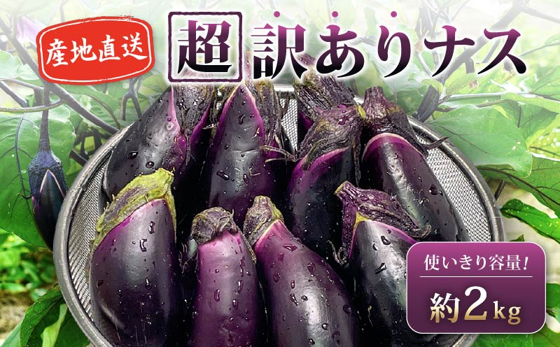 【2月より発送】安田町産 「超」 訳あり ナス なす 2kg 新鮮 野菜 茄子 産地直送 季節限定 夏野菜 ふるさと納税茄子  ふるさと納税なす 高知 安田町 TR-0003
