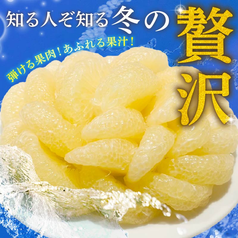 【高知有数の宝物庫】毎月お届け ふるさと安田の定期便 セット 5ヶ月定期便 かつおのたたき あか牛 日本酒 セット 土佐 あかうし 鰹たたき カツオ かつおのタタキ 南 土佐鶴 純米大吟醸 大吟醸 オススメ 冷凍 毎月 お届け かつお かつおたたき 定期便 かばやき すき焼き しゃぶしゃぶ  ローストビーフ すきやき 藁焼き 和牛 クリスマス 年末年始 人気 プレゼント 高知県 安田町 YS-12