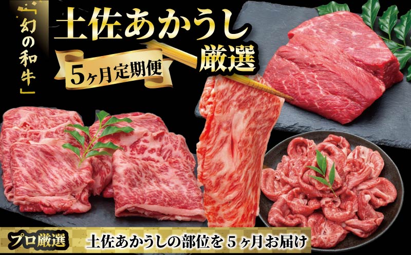 希少 土佐あかうし 定期便 5回 定期便 5回  土佐あかうし 厳選部位 牛肉  もも肉 ブロック サーロイン ステーキ しゃぶしゃぶ用 スライス カルビ 焼肉用 ローストビーフ すきやき（すき焼き）しゃぶしゃぶ 鍋 冷凍 国産 国産牛 和牛 ブランド牛 赤身 お肉 にく 高知県産 安田町  MT-13