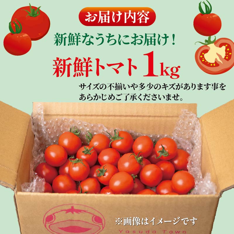 【先行受付】 安田町産 愛情たっぷり新鮮トマト1kg 先行受付  完熟 トマト 高知県産 1kg 産地直送 新鮮 もぎたて 人気 野菜 とまと 栄養 ヘルシー 高知 安田町  TR-03