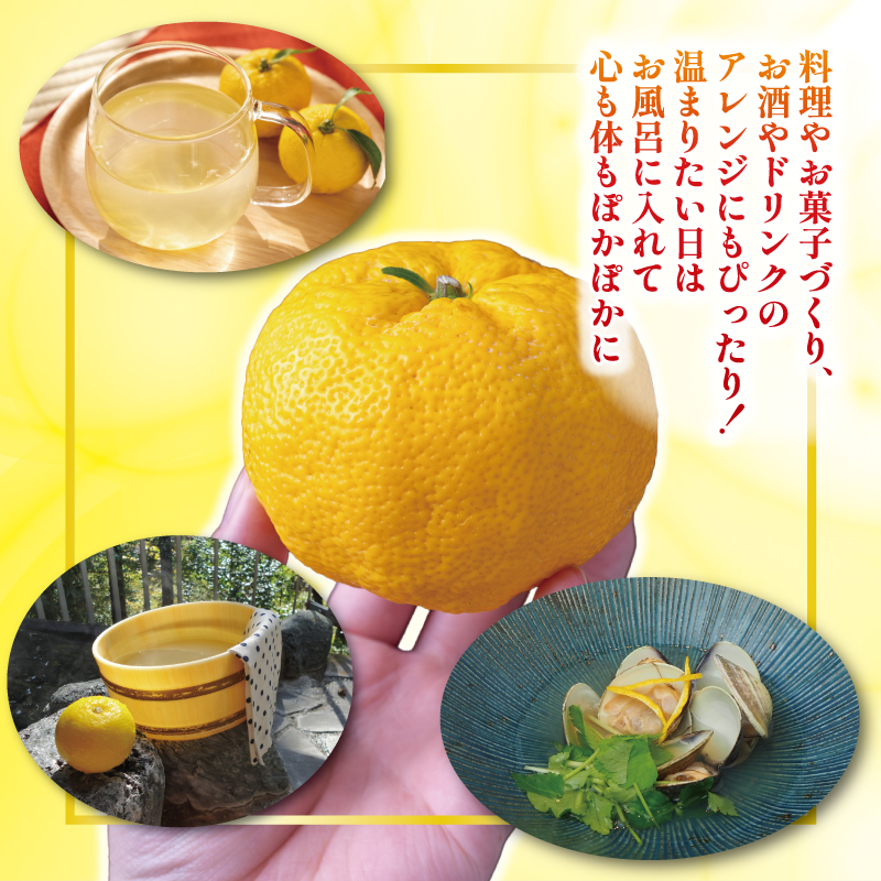 【高知有数の宝物庫】毎月お届け ふるさと安田の定期便 セット 5ヶ月定期便 かつおのたたき あか牛 日本酒 セット 土佐 あかうし 鰹たたき カツオ かつおのタタキ 南 土佐鶴 純米大吟醸 大吟醸 オススメ 冷凍 毎月 お届け かつお かつおたたき 定期便 かばやき すき焼き しゃぶしゃぶ  ローストビーフ すきやき 藁焼き 和牛 クリスマス 年末年始 人気 プレゼント 高知県 安田町 YS-12