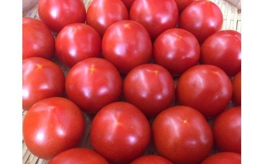 ◆愛情たっぷり新鮮トマト１kg