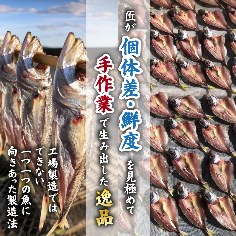 【 訳あり だけど逸品！】安田町 プロ厳選！ 訳あり 干物 セット 極上 国産 干物 2～4種 500g  極上 詰め合わせ タイ イカ サバ アジ イワシ カツオ ウルメ 無添加 冷蔵 高級 海産物店直送 セット 美味しい 本場 高知 水産事業者支援 ひもの 干物セット コスパ ランキング 人気 高知 安田町 HM-0001