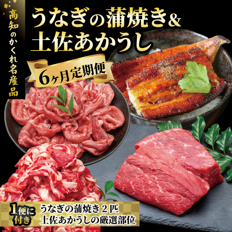 【 うなぎ ＆ 土佐あかうし 夢のコラボ！】高知の隠れ名産品 国産 うなぎ蒲焼き 土佐あかうし 6回定期便 お肉 魚 ウナギ 牛肉 6ヶ月 半年 定期便 蒲焼 土佐あかうし 国産 冷凍  鰻 牛肉 特製タレ付 厳選 かばやき すき焼き しゃぶしゃぶ 人気 ローストビーフ すきやき ひつまぶし 鍋 定期便うなぎ 人気 年末年始 クリスマス プレゼント 高知県 安田町  TM-01
