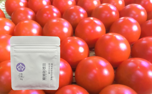 å®ç°çºç£ å®å
šå€©æ¥å¡© æ°é®®ãšããã ã»ãã å
è¡åä» å®ç ããã ãš å®å
šå€©æ¥å¡© ã»ãã ç£å°çŽé æ°é®® ããã㊠塩è·äºº æäœã éè ãšãŸãš æµ·æ°Ž å¡© ç°éå± çŽ«è é«ç¥ å®ç°çº TR-19