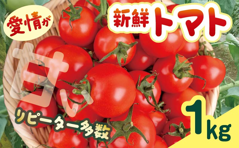 安田町産 愛情たっぷり新鮮トマト1kg 先行受付  完熟 トマト 高知県産 1kg 産地直送 新鮮 もぎたて 人気 野菜 とまと 栄養 ヘルシー 高知 安田町  TR-03