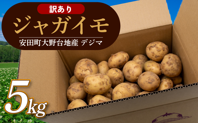 【じゃがいも】 《訳あり》 【先行予約】 春デジマ 2026年5月配送開始 じゃがいも デジマ 5kg 春じゃが 新じゃが じゃが芋 芋 いも ポテト 野菜 やさい 旬 不揃い 傷 ばれいしょ 馬鈴薯 贈答 厳選 農家直送 産地直送 高知県 安田町 YK-0012