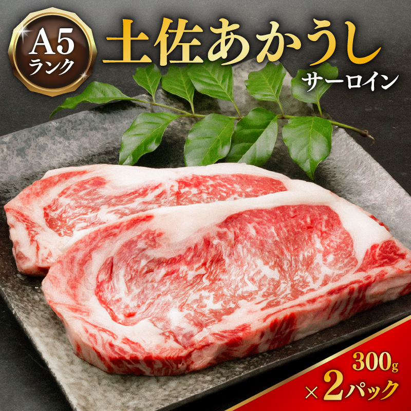 ｢土佐あかうし｣サーロインステーキ300g×2枚 希少 土佐あかうし サーロイン 約300g×2枚 600g  牛肉 冷凍 国産 国産牛 牛サーロイン ステーキ 和牛 ブランド牛 赤身 ローストビーフ すきやき（すき焼き）しゃぶしゃぶ 鍋 お肉 あか牛 赤牛 高知県産 安田町  MT-10