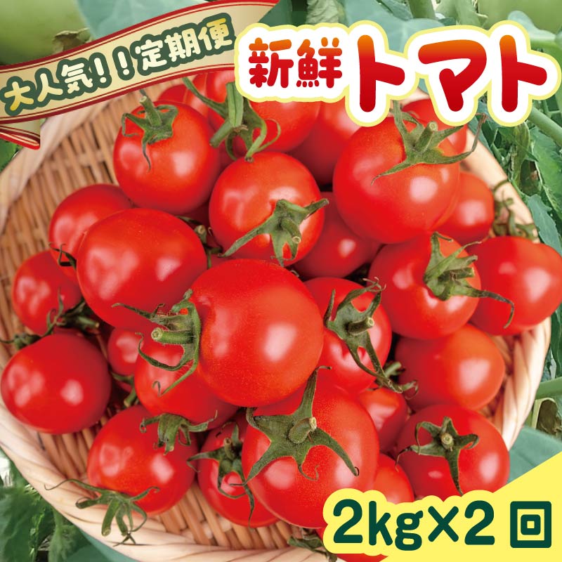 【先行受付】 安田町産 新鮮トマト 2kg 定期便 2回 採れたて 新鮮 トマト 2kg 2回 2ヶ月 定期便 農家直送 甘い 濃厚 美味しい 完熟 国産 常温 おかず 惣菜 高知県 安田町 TR-23