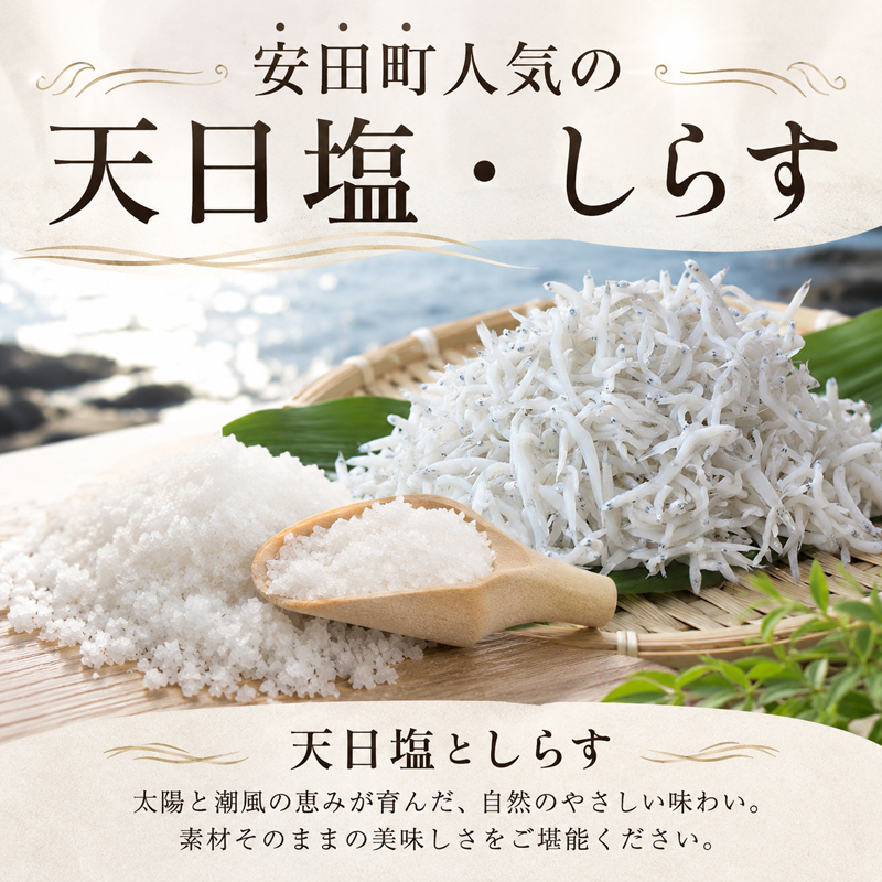 もっと！ おいしいものセット 野菜 果物 パスタ 海産品 調味料 詰め合わせ セット 1万円 10000円 生パスタ 干物 お菓子 スイーツ 海産物 加工品 ポン酢 味噌 高知県 安田町 TR-07