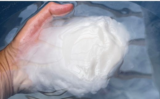 田野屋紫蘭の完全天日塩 清流安田川が育む土佐の海と太陽で育てた｢万能｣小粒100g×3個 田野屋紫蘭 塩 完全 天日塩 セット 万能 小粒 100g 3袋 しお 荒塩 あら塩 天然 料理 調味料 食塩 高知県 安田町 TN-03