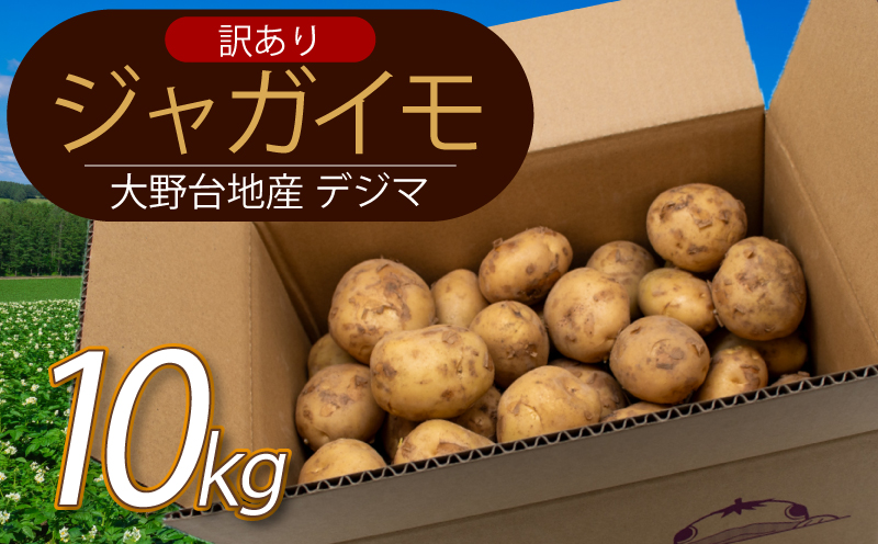 【じゃがいも】 《訳あり》 【先行予約】 春デジマ 2026年5月配送開始 じゃがいも デジマ 10kg 春じゃが 新じゃが じゃが芋 芋 いも ポテト 野菜 やさい 旬 不揃い 傷 ばれいしょ 馬鈴薯 贈答 厳選 農家直送 産地直送 高知県 安田町 YK-0013