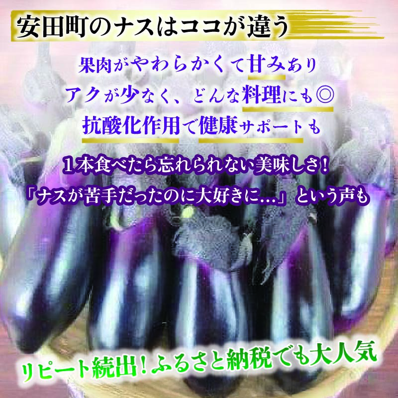 å®ç°çºç£æ°é®®ãã¹20ã24æ¬ã®å®æäŸ¿ 2åçºé 2ãæ 2å å®æäŸ¿ ãã¹ 20æ¬ä»¥äž éè èå ç£å°çŽé æ©æäºçŽ å£ç¯éå® å€éè ãµãããšçŽçšèå ãµãããšçŽçšãªã é«ç¥ å®ç°çº TR-2000