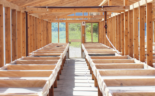田野屋紫蘭の完全天日塩 清流安田川が育む土佐の海と太陽で育てた2種類セット 田野屋紫蘭 塩 完全 天日塩 セット 2種 100g 2袋 しお 荒塩 あら塩 天然 料理 調味料 食塩 詰め替え 高知県 安田町 TN-01
