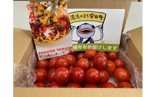 ◆愛情たっぷり新鮮トマト３kg