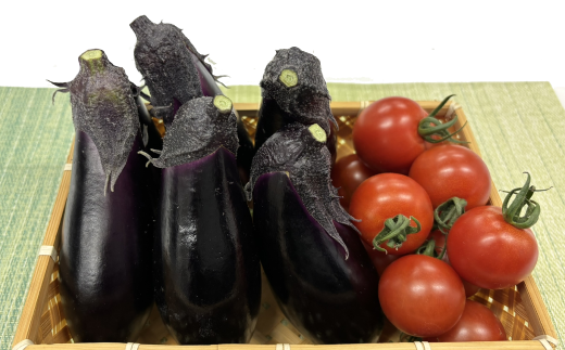 安田町の野菜 ナス トマト 少量セット 野菜 お試し セット 詰め合わせ ナス 5本トマト 150g x 2 300g 旬の野菜 季節野菜 やさい 国産 人気 季節 旬 新鮮 定番 高知県 安田町 TR-15