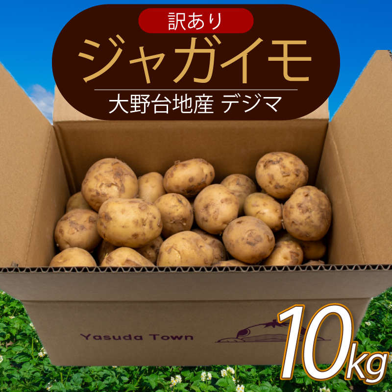 【じゃがいも】 《訳あり》 【先行予約】 春デジマ 2026年5月配送開始 じゃがいも デジマ 10kg 春じゃが 新じゃが じゃが芋 芋 いも ポテト 野菜 やさい 旬 不揃い 傷 ばれいしょ 馬鈴薯 贈答 厳選 農家直送 産地直送 高知県 安田町 YK-0013