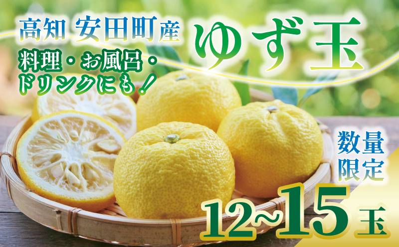 【先行受付】 安田町産 ゆず玉 料理にお酒にお風呂にどうぞ 期間限定 ゆず 12〜15玉 柚子 果物 柑橘 フルーツ スイーツ デザート アレンジ 柚子風呂 ゆず風呂 柚子湯 早期予約 季節限定 ふるさと納税 人気 高知 安田町 TR-26