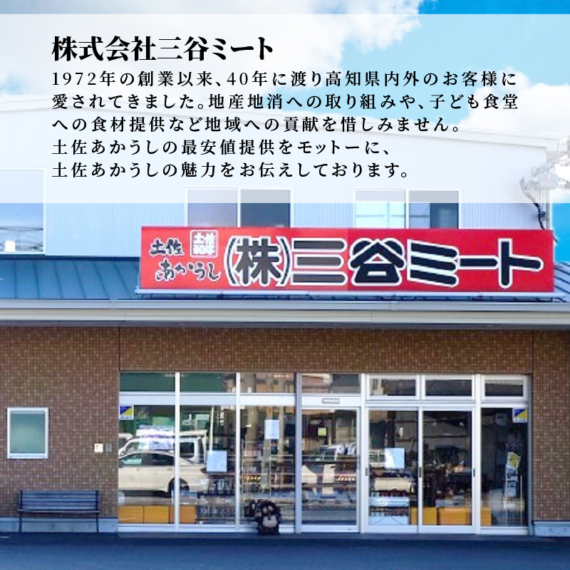 ｢土佐あかうし｣モモスライス600g 国産 土佐あかうし モモ スライス 600g 高級 和牛 ブランド牛 あか牛 焼肉 すき焼き 牛丼 1kg以下 贈答 贈り物 ギフト 冷凍 グルメ お取り寄せ 希少 高知県 安田町 MT-05