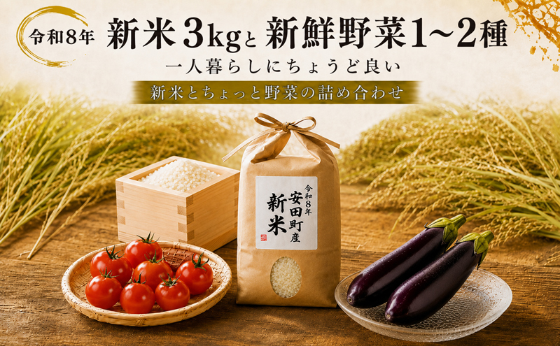 令和8年 新米 ヒノヒカリ 3kg ちょっと野菜の詰め合わせ 米 3kg 野菜 1-2品 お米 白米 ヒノヒカリ おまかせ 旬 なすトマト 茄子 みかん ゆず 高知県 安田町 TR-01