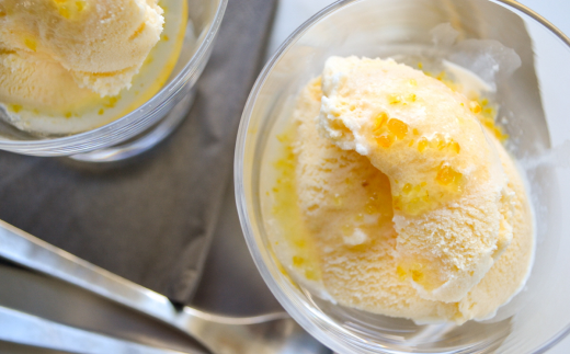 安田町のつぶつぶのあるゆずシロップ2個セット 高知県産 ゆずシロップ 200ml×2個セット ゆず 柚子 調味料 料理 デザート 柑橘 フルーツ 果物 ドレッシング アイスクリーム ヨーグルト 常温 高知県 安田町 TR-14