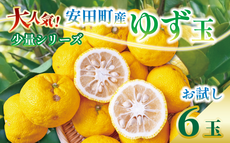 【受付終了まで12時間未満！】 年内配送 少量 ゆず 使い道いろいろセット ゆず 6個 柚子 詰め合わせ 少量 果汁 果物 フルーツ 柑橘 新鮮 国産 料理 お酒 お菓子 デザート 料理 ゆず風呂 柚子湯 ゆず玉 ゆず酒 ゆずこしょう ゆず果汁 冬至 高知県 安田町 TR-22