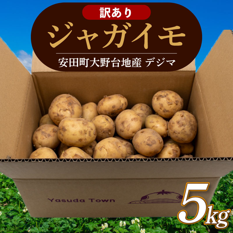 【じゃがいも】 《訳あり》 【先行予約】 春デジマ 2026年5月配送開始 じゃがいも デジマ 5kg 春じゃが 新じゃが じゃが芋 芋 いも ポテト 野菜 やさい 旬 不揃い 傷 ばれいしょ 馬鈴薯 贈答 厳選 農家直送 産地直送 高知県 安田町 YK-0012