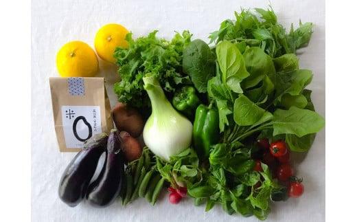 お米2合 野菜8〜10品目セット 米 2合 野菜 8〜10品 セット 詰め合わせ  お米 300g  白米 ヒノヒカリ 採れたて 家計応援 果物 やさい フルーツ 使い切り トマト なす  ブランド米 精米   高知県 安田町 MR-01