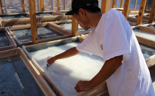 田野屋紫蘭の完全天日塩 清流安田川が育む土佐の海と太陽で育てた｢万能｣小粒100g×3個 田野屋紫蘭 塩 完全 天日塩 セット 万能 小粒 100g 3袋 しお 荒塩 あら塩 天然 料理 調味料 食塩 高知県 安田町 TN-03