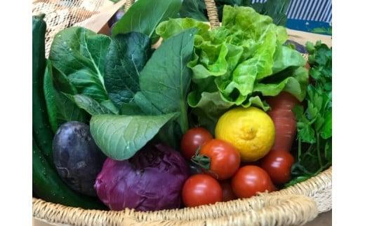 お米2合 野菜8〜10品目セット 米 2合 野菜 8〜10品 セット 詰め合わせ  お米 300g  白米 ヒノヒカリ 採れたて 家計応援 果物 やさい フルーツ 使い切り トマト なす  ブランド米 精米   高知県 安田町 MR-01