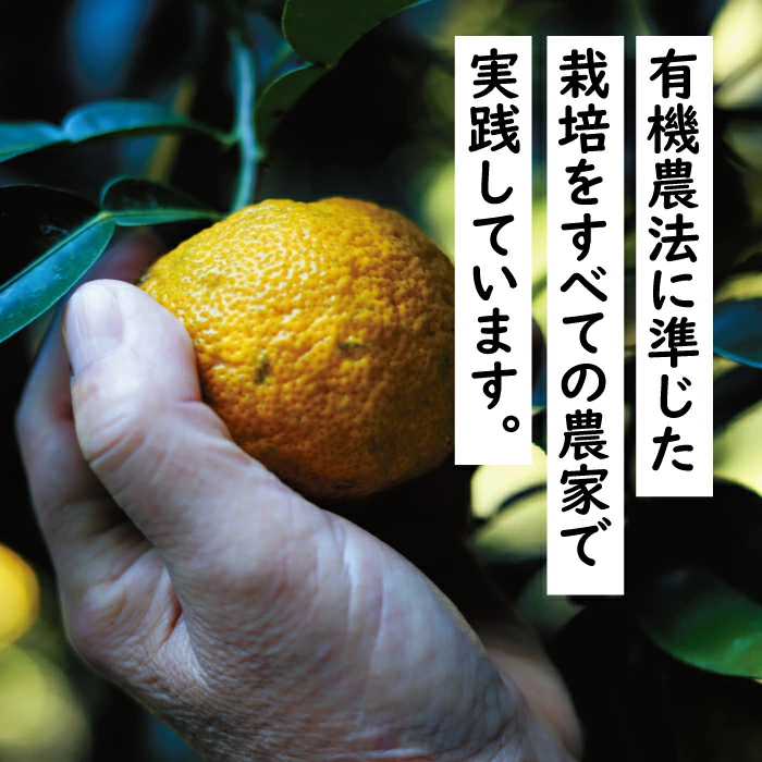 ゆずポン酢 ５種 食べ比べ セット（360ｍｌ×各1本） 調味料 ゆず 柚子 ぽん酢 ドレッシング 鍋 水炊き 醤油 ギフト 贈答用 お中元 お歳暮  のし 熨斗 送料無料 高知県 馬路村  [527]