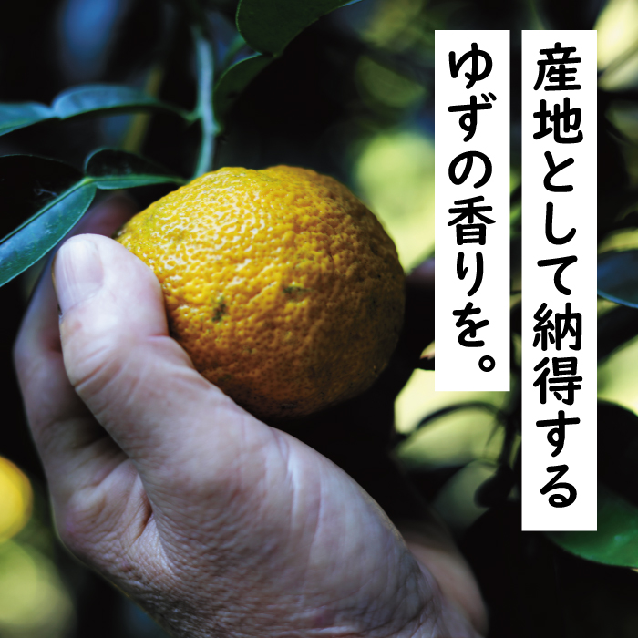 ゆずの村酒造甘口/500ml×3本 リキュール 果実酒